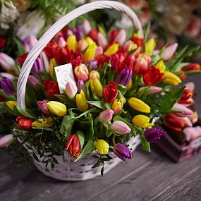 Композиция из 101 тюльпана микс с зеленью в корзине