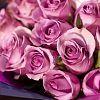 Сиреневые розы 40 см (Кения) Premium