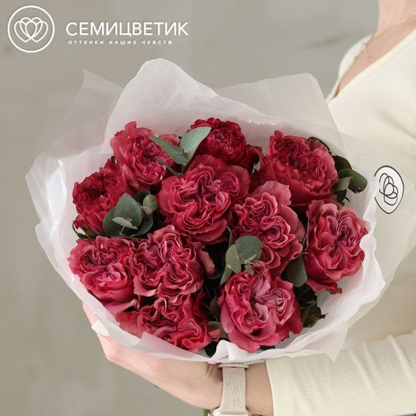 Букет из 11 пионовидных малиновых роз Country Blues (Эквадор) 50 см с эвкалиптом