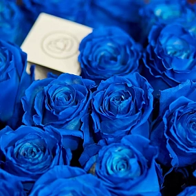 Букет из 25 синих роз 60 см (Эквадор) в голубой пленке