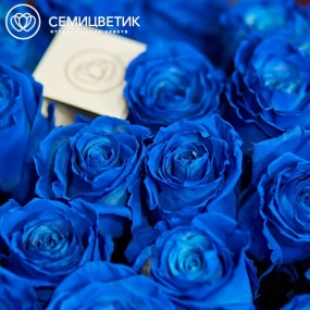Букет из 25 синих роз 60 см (Эквадор) в голубой пленке