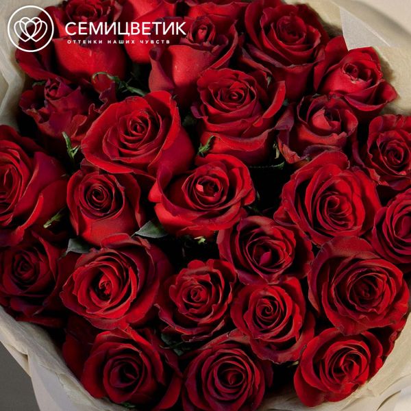 Букет из 25 красных роз Ever Red 50 см