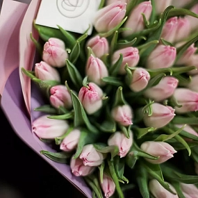 Букет из 51 нежно-розового тюльпана в розовой пленке