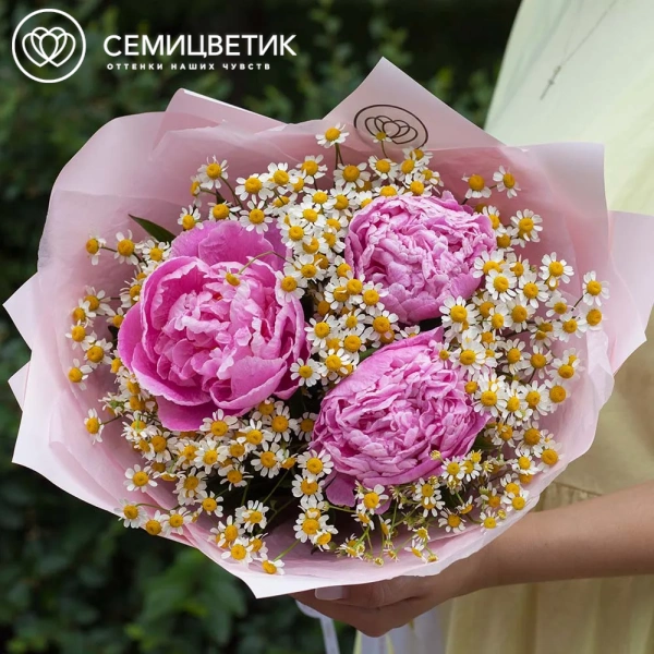 Букет из 3 розовых пионов Standart Plus и матрикарии в розовой пленке
