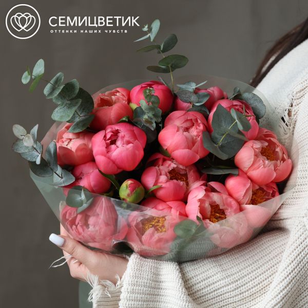 Букет из 15 пионов Coral Sunset Premium с эвкалиптом в полупрозрачной упаковке
