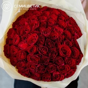 Букет из 61 красной розы 35-40 см (Кения) в кремовой пленке