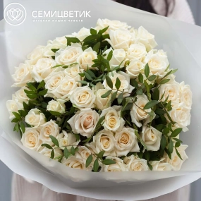 Букет из 51 белой розы 35-40 см (Россия) с фисташкой в прозрачной пленке