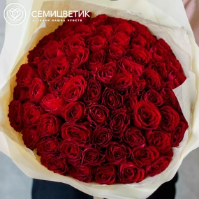 Букет из 61 красной розы 40 см (Кения) в кремовой пленке