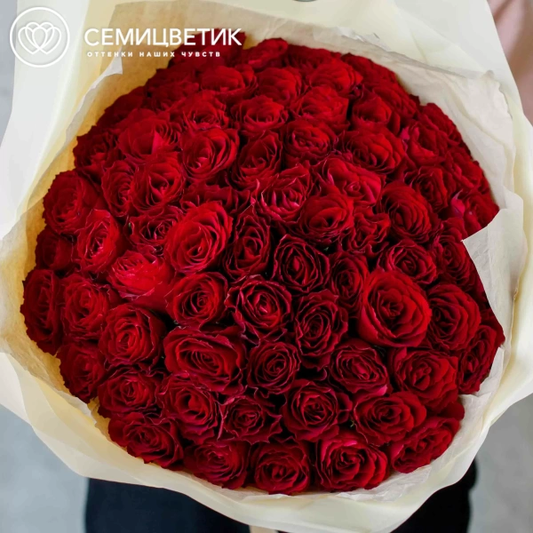 Букет из 61 красной розы 35-40 см (Кения) в кремовой пленке