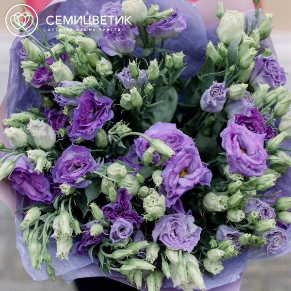 Букет из 15 фиолетовых лизиантусов