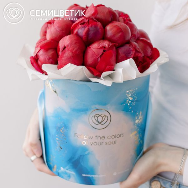 Букет в голубой шляпной коробке Amour Mini из 21 бордового пиона Standart Plus