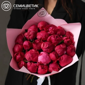 Букет из 25 ярко-розовых пионов Red Sarah Bernhardt Premium в розовой упаковке