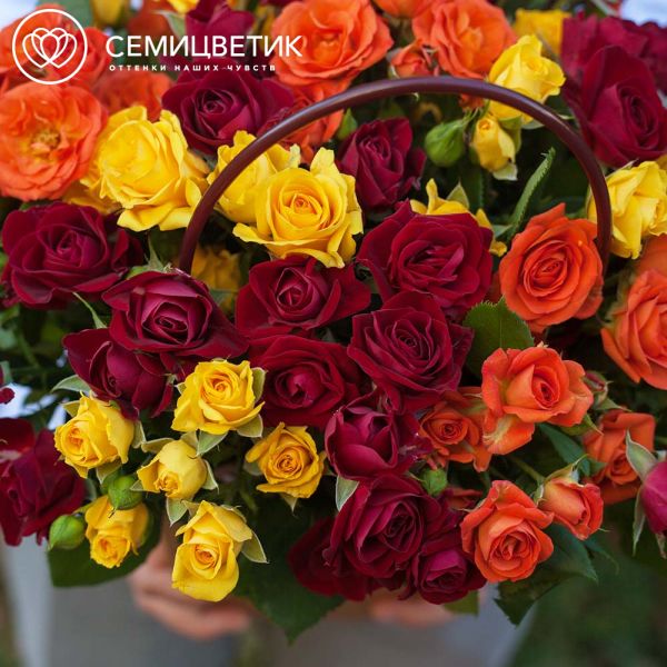 Композиция из 25 кустовых роз в ярких тонах в сумочке