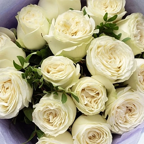 Букет из 15 белых пионовидных роз Titanium 40 см с фисташкой в голубой пленке