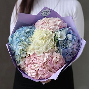 Букет из 5 гортензий нежный микс
