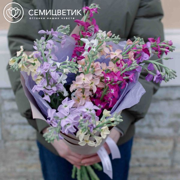 Букет из 15 маттиол микс