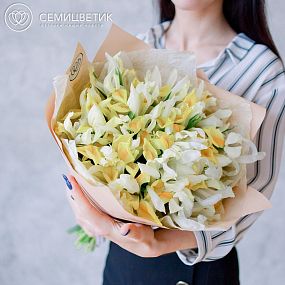Букет из 25 желтых ирисов