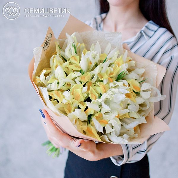 Букет из 25 желтых ирисов