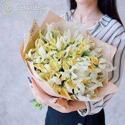 Букет из 25 желтых ирисов