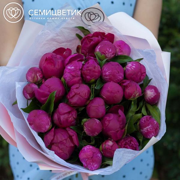 Букет из 25 малиновых пионов Standart Plus