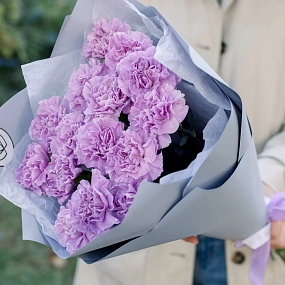 Букет из 15 сиреневых (лунных) гвоздик в голубой пленке