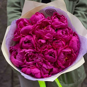 Букет из 15 малиновых пионов Standart Plus в кремовой пленке