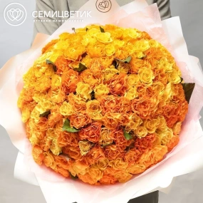 Букет из 151 оранжевой и жёлтой розы 35-40 см (Россия) в белой пленке