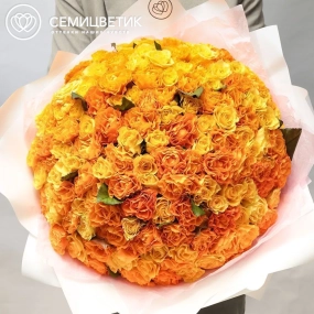 Букет из 151 оранжевой и жёлтой розы 35-40 см (Россия) в белой пленке