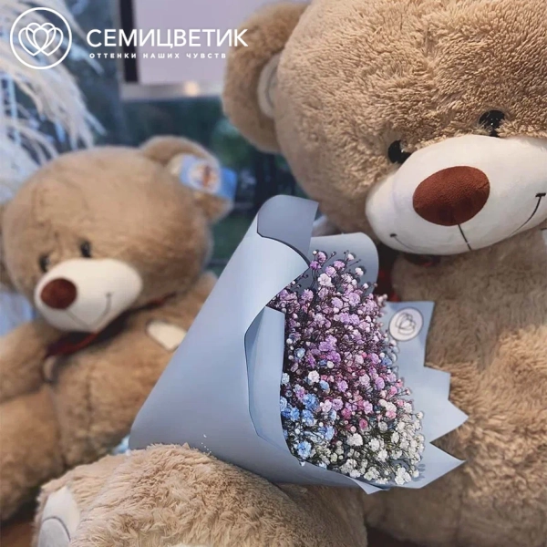 Букет из 5 гипсофил микс в голубой пленке