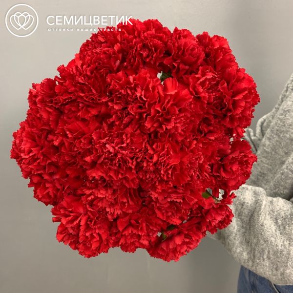 Букет из 25 красных гвоздик