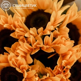 Букет из 7 подсолнухов в упаковке