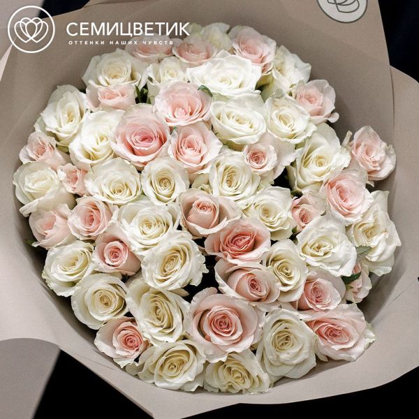 Букет из 51 белой и нежно-розовой розы 40 см (Кения) в кремовой пленке