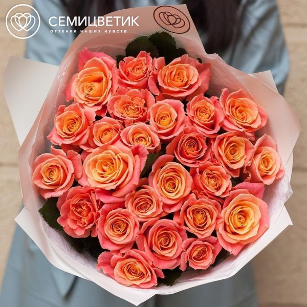 Букет из 25 коралловых роз 70 см (Россия) в белой пленке