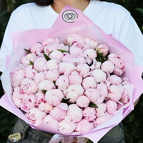 Букет из 51 розового пиона Standart в розовой пленке