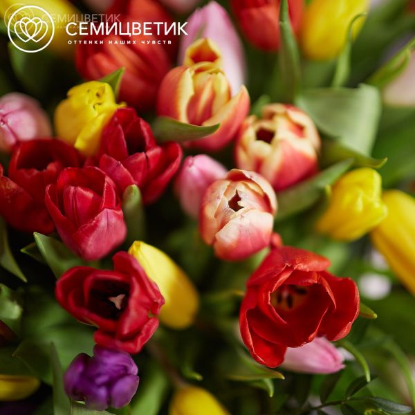 Композиция из 101 тюльпана микс с зеленью в корзине