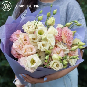 Букет из 15 махровых кремовых и розовых лизиантусов в сиреневой пленке