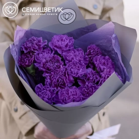 Букет из 15 фиолетовых гвоздик в сиреневой пленке