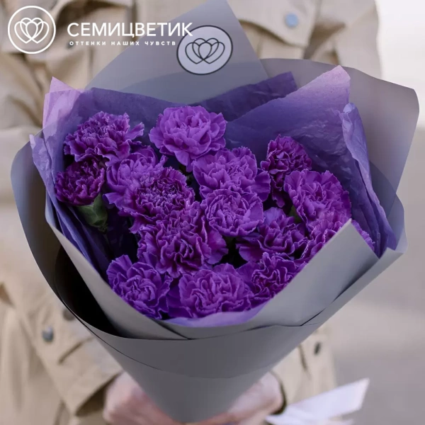 Букет из 15 фиолетовых гвоздик в сиреневой пленке