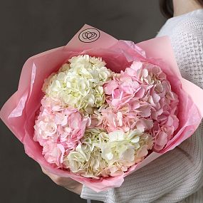 Букет из 5 белых и розовых гортензий