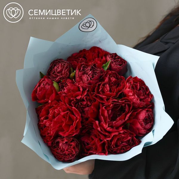 Букет из 15 бордовых пионов Old Faithful Premium
