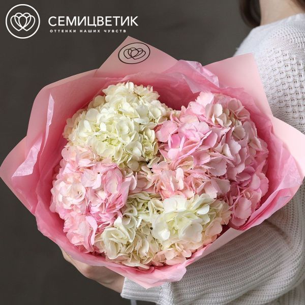 Букет из 5 белых и розовых гортензий