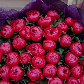 Букет из 25 коралловых пионов Coral Sunset Standart