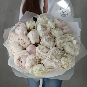 Букет из 25 бело-кремовых пионов Bowl of cream Premium в прозрачной упаковке