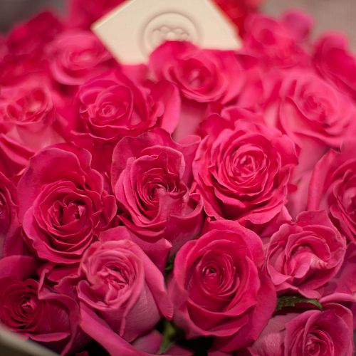Ярко-розовые розы Topaz 40 см (Эквадор)