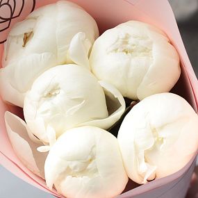 Букет из 5 белых пионов Premium в розовой пленке