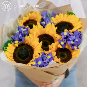 Букет из 5 подсолнухов и 10 синих ирисов в кремовой пленке