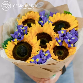 Букет из 5 подсолнухов и 10 синих ирисов в кремовой пленке