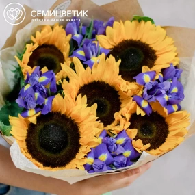 Букет из 5 подсолнухов и 10 синих ирисов в кремовой пленке