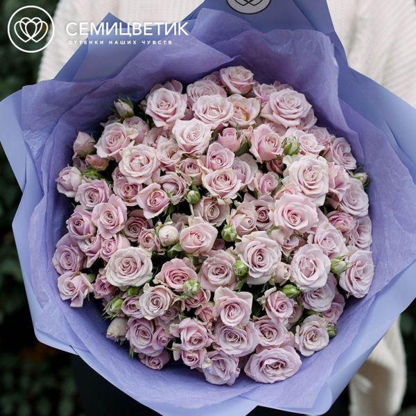 Букет из 25 сиреневых кустовых роз 40 см (Кения)