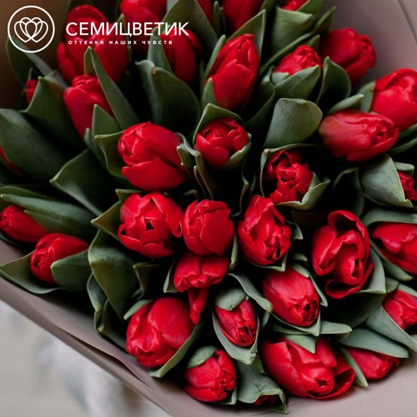Букет из 35 красных тюльпанов 40 см